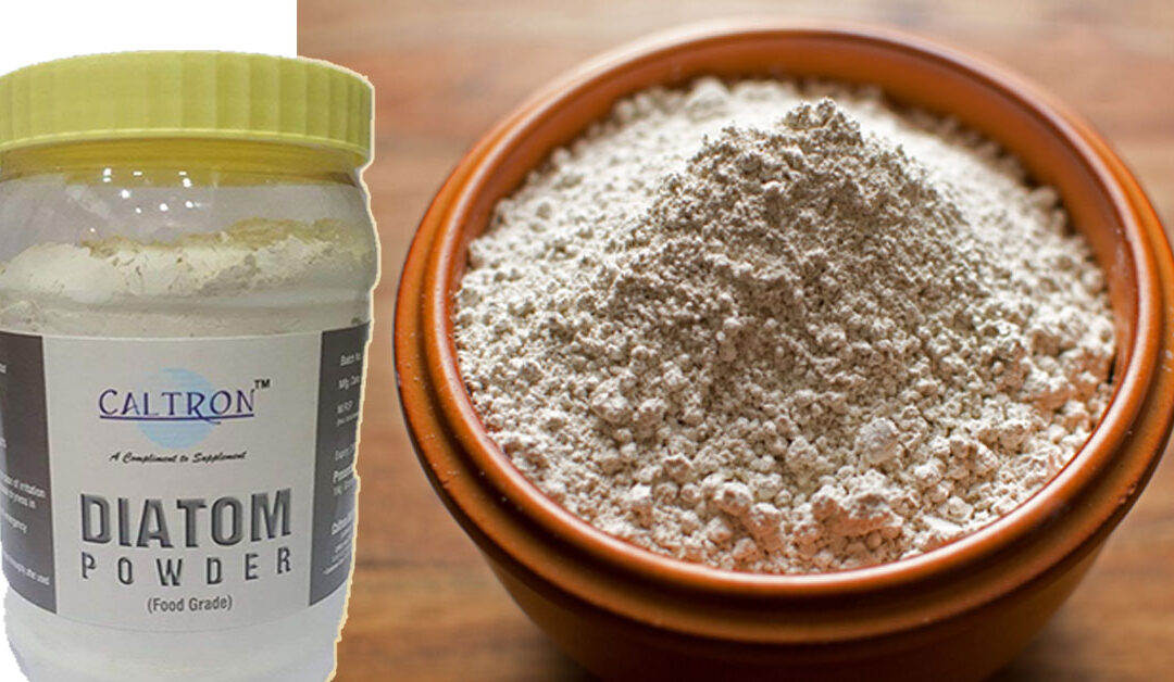 Food Grade Diatomaceous Earth Powder